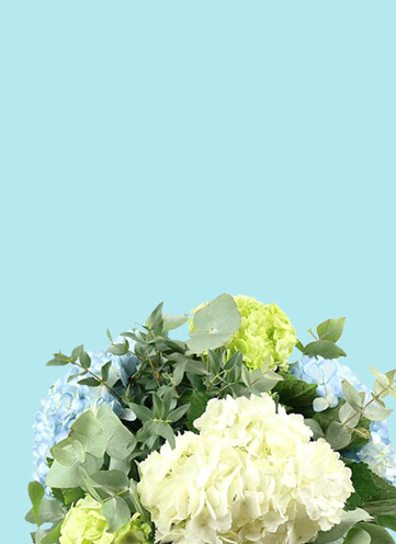 Same day Flowers Tufnell Park